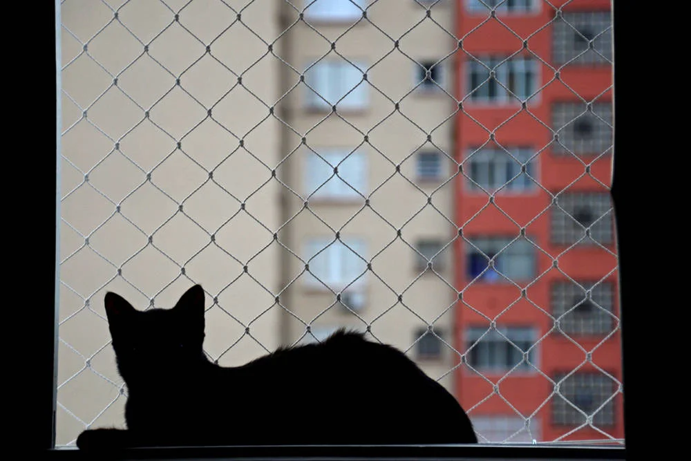 Wohnungsfenster-mit-Katzennetz-bestueckt
